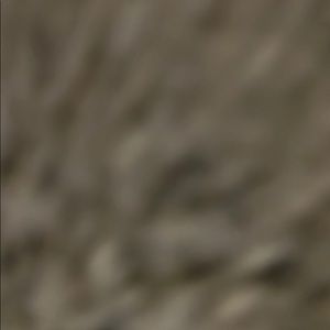 Meet your Posher, Jotham